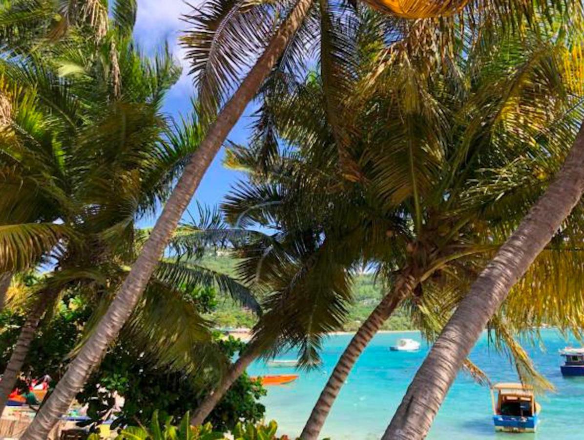 Bequia Beachfront Villa Hotel Friendship Eksteriør billede