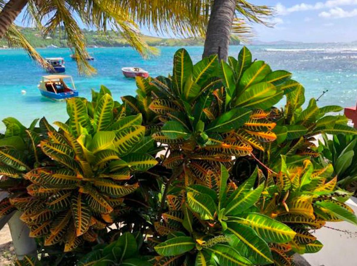 Bequia Beachfront Villa Hotel Friendship Eksteriør billede